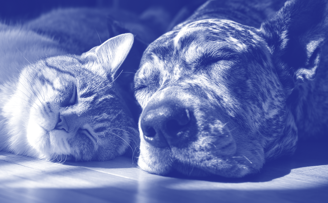 Diagnosi e gestione delle emergenze neurologiche