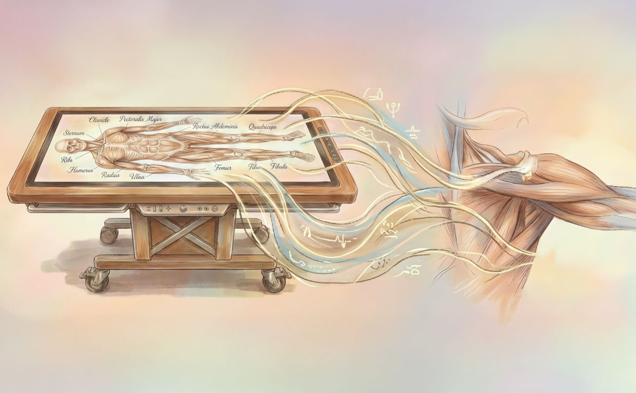 Esplorare l’Anatomia Umana in 3D