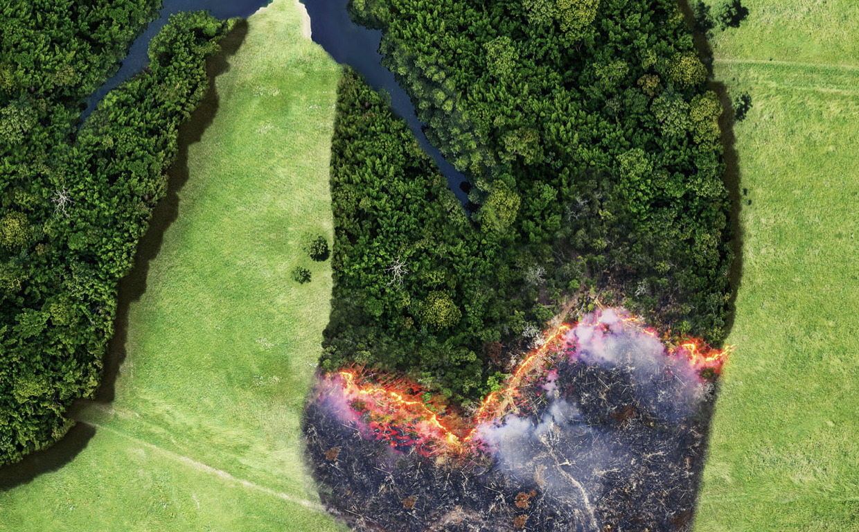 Educazione alle immagini: semiotica visiva