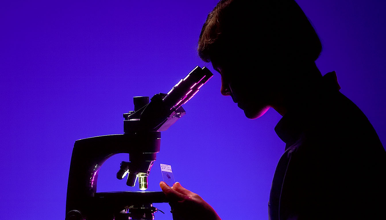 ANATOMIA MICROSCOPICA: criteri per il riconoscimento degli organi cavi