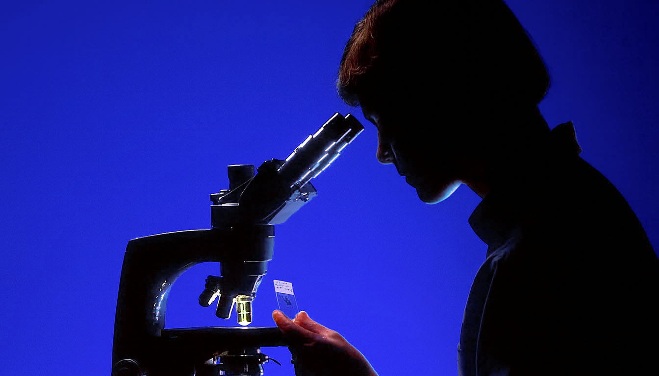 ANATOMIA MICROSCOPICA: organi pieni e sistema nervoso