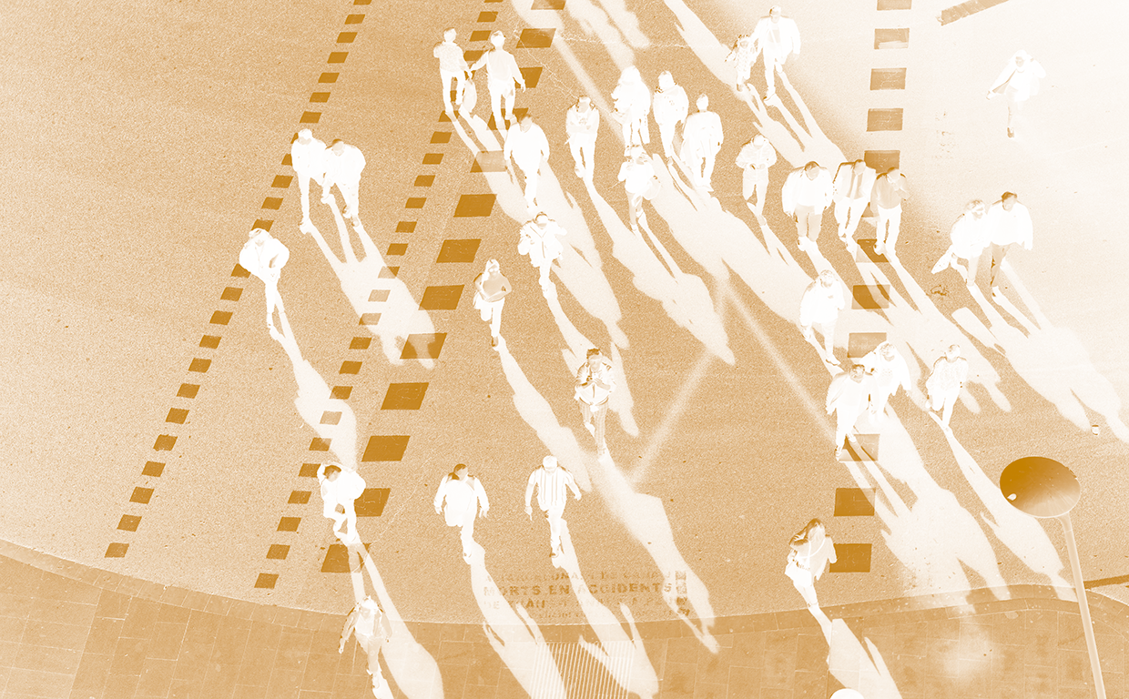 Prospettive multidisciplinari della formazione nel campo della comunicazione pubblica e delle professioni