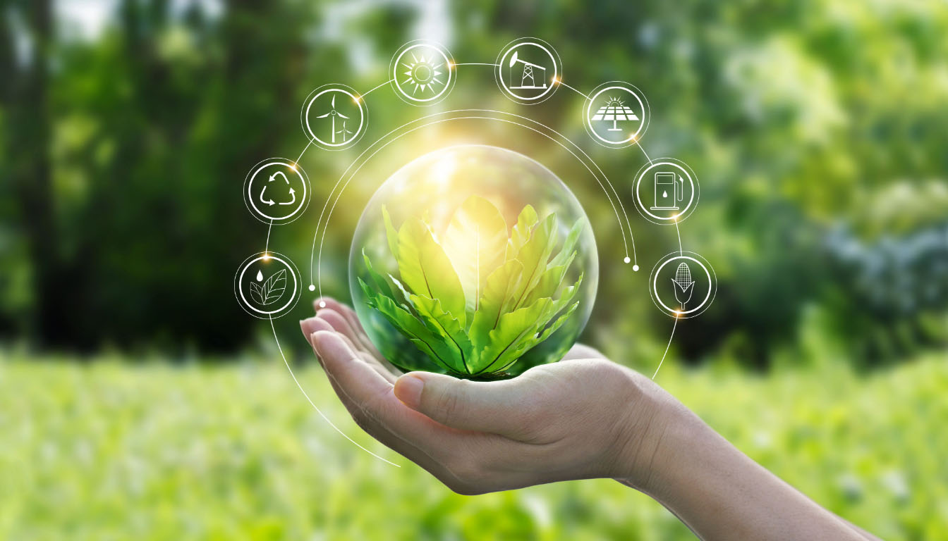 Sostenibilità dei sistemi agricoli e forestali