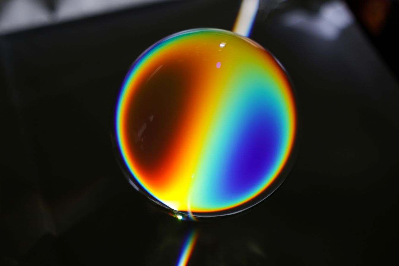 Come vediamo: percezione e plasticità cerebrale.
